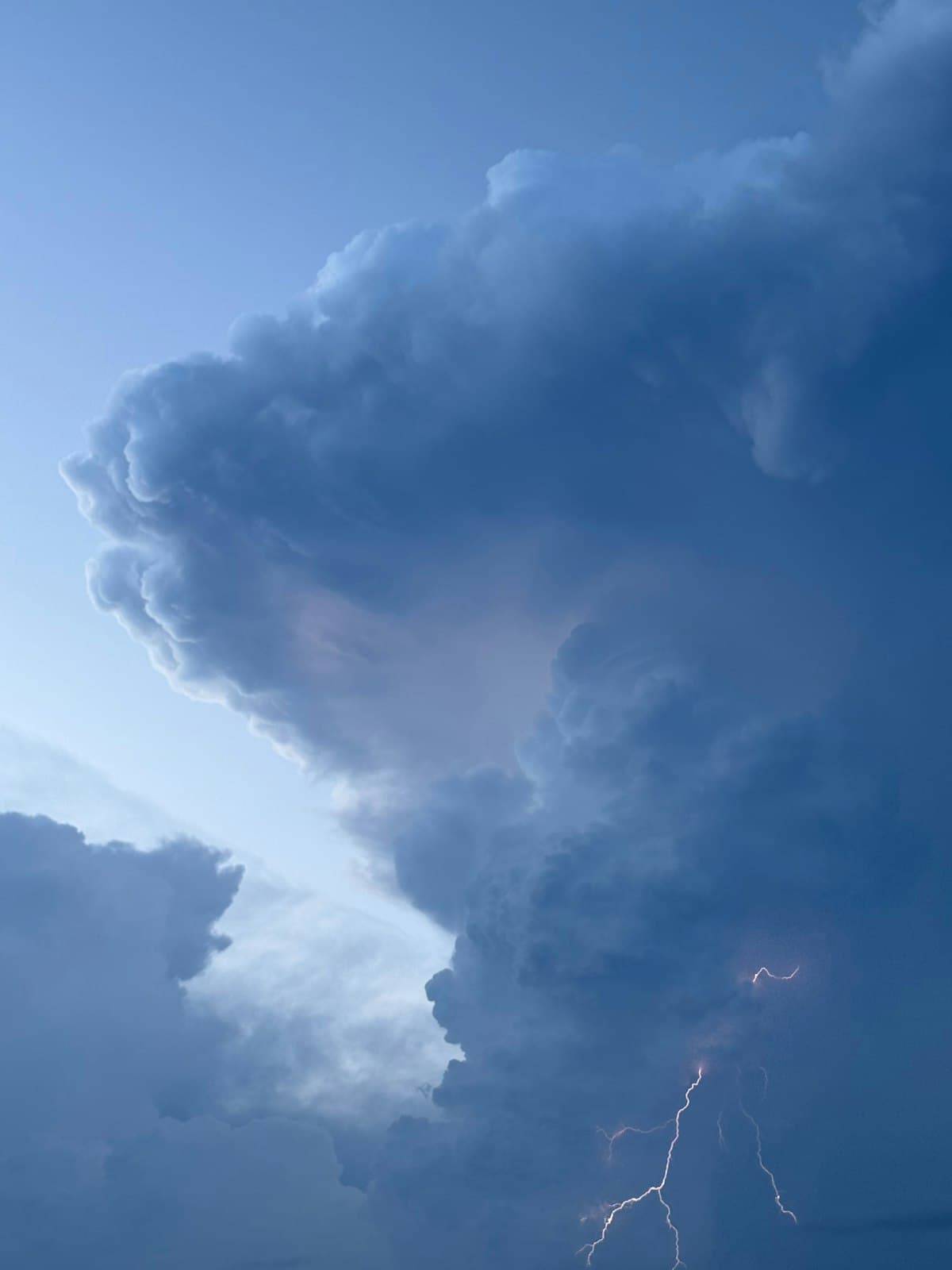 Storm & Insurance Claims
